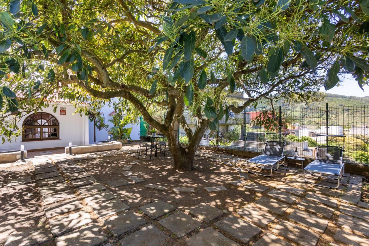 Tegueste Charming House Exterior photo